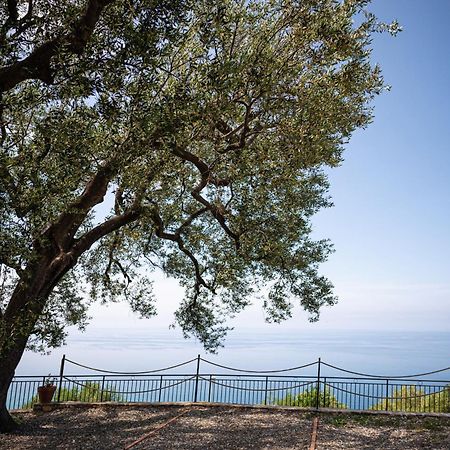 La Casa Del Maestro Attico Lejlighed Pisciotta Eksteriør billede