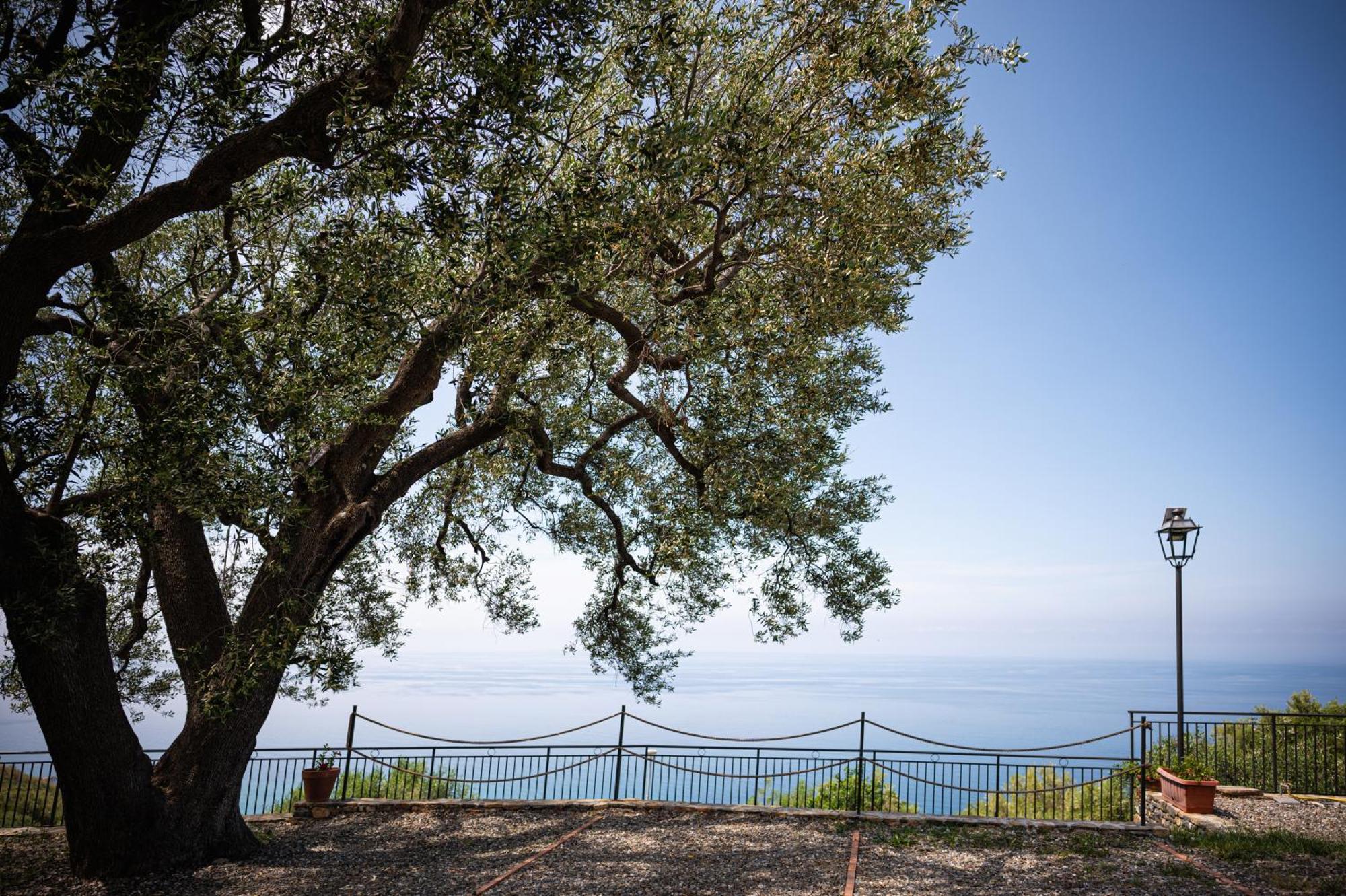 La Casa Del Maestro Attico Lejlighed Pisciotta Eksteriør billede