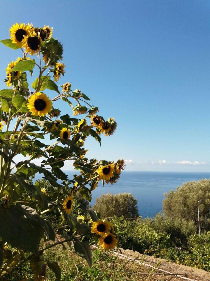 La Casa Del Maestro Attico Lejlighed Pisciotta Eksteriør billede