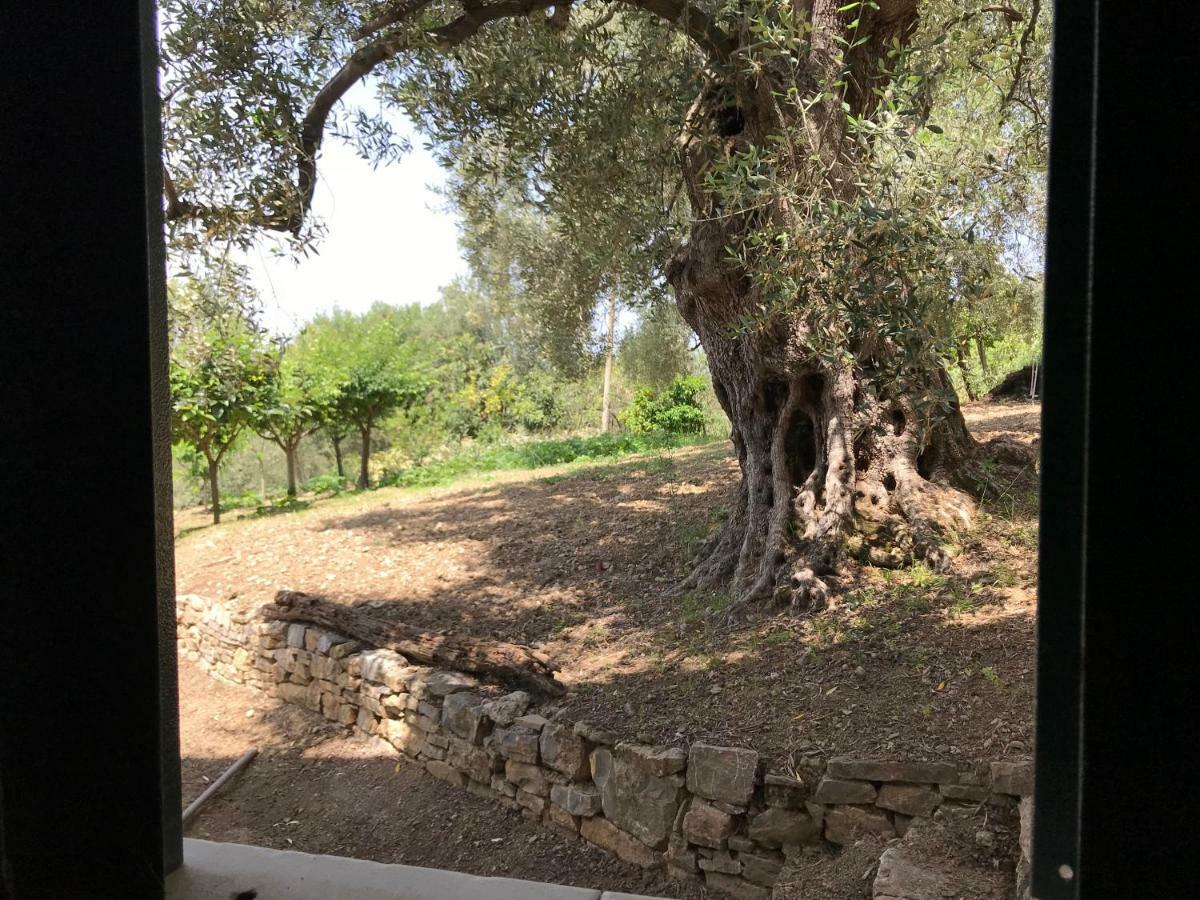 La Casa Del Maestro Attico Lejlighed Pisciotta Eksteriør billede