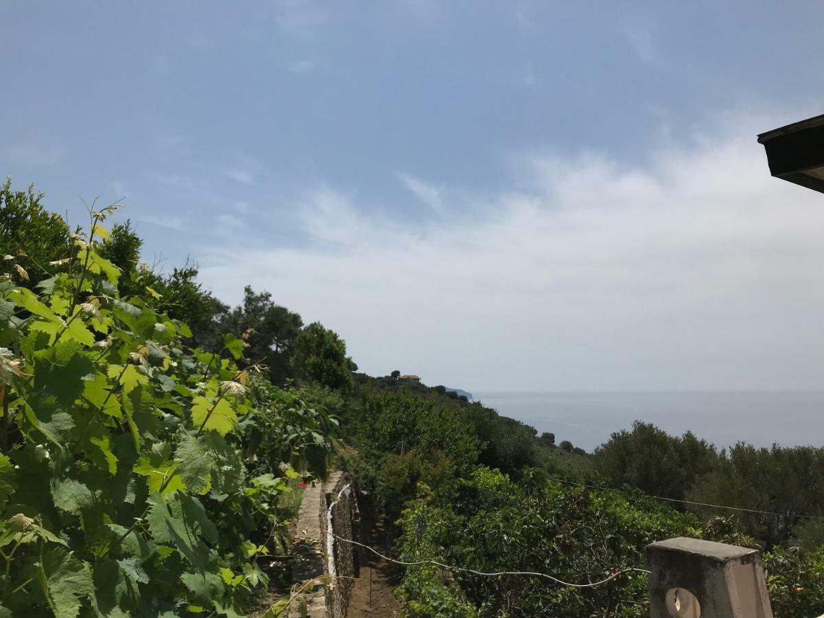 La Casa Del Maestro Attico Lejlighed Pisciotta Eksteriør billede