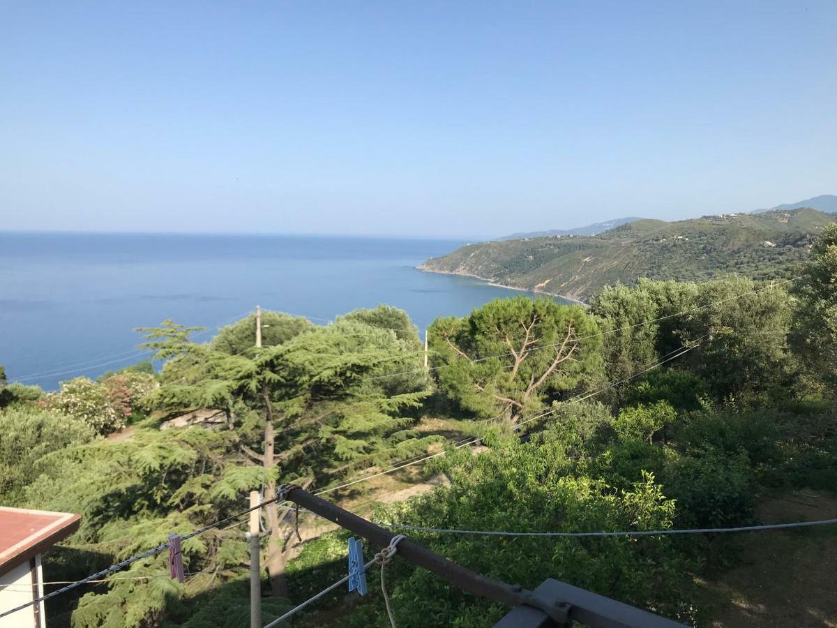 La Casa Del Maestro Attico Lejlighed Pisciotta Eksteriør billede