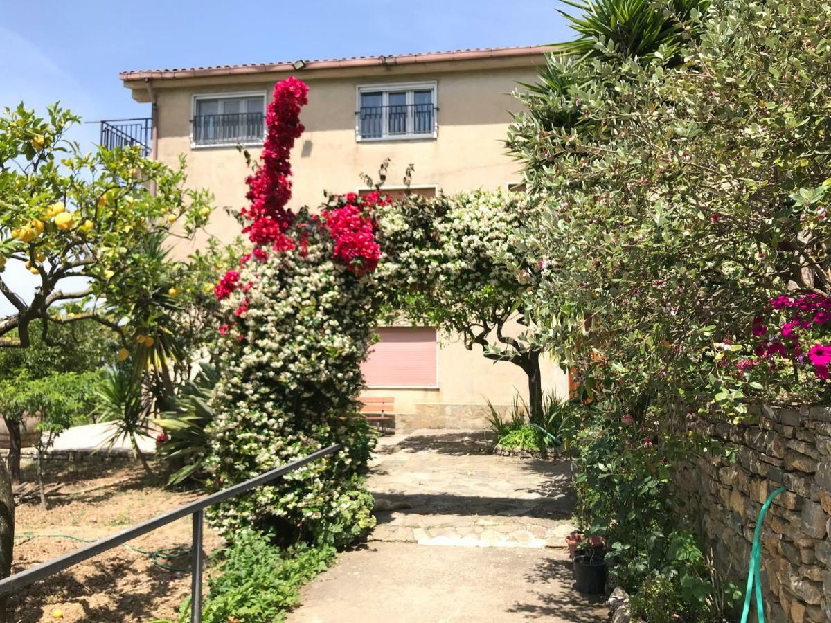 La Casa Del Maestro Attico Lejlighed Pisciotta Eksteriør billede